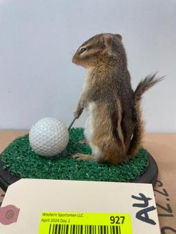 Cute little golfing Chipmuck , on green with club and ball. 6 inches tall, on wood base 7 X 5 inches