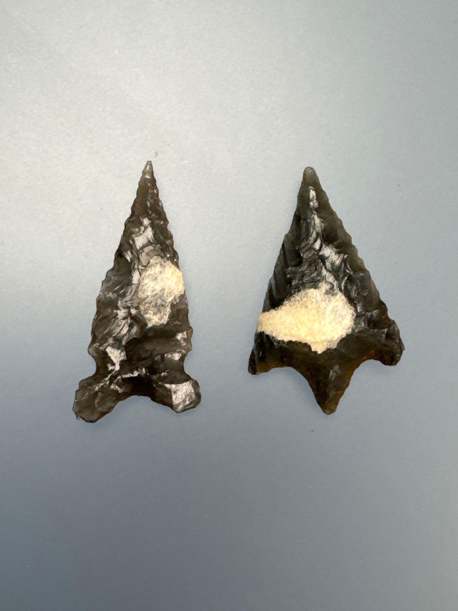 Pair of Fine Gem Points, Longest 1 1/8", Obsidian, Found by Bob Ashlock in 1950's in Wasco Co., Oreg