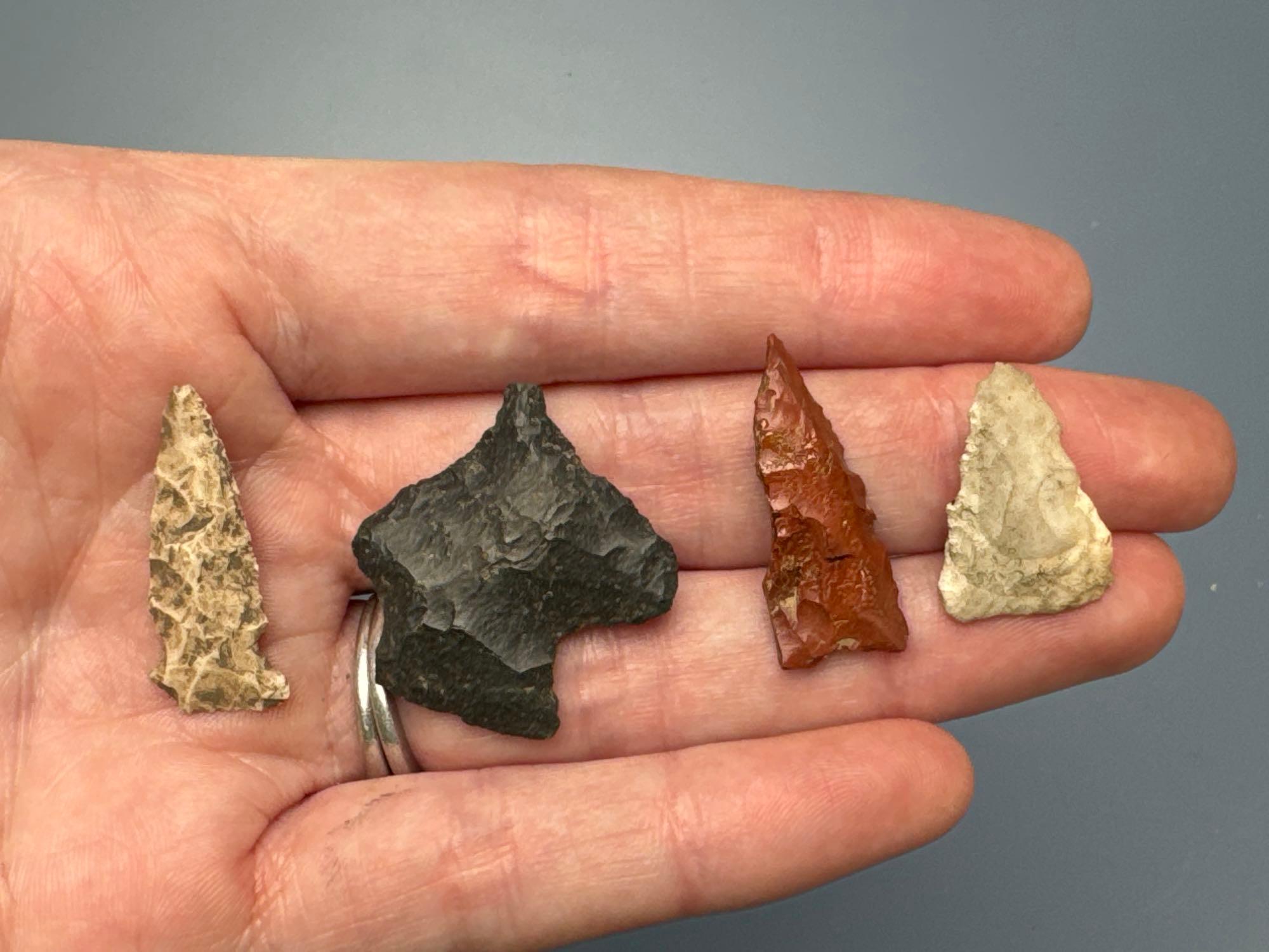Nice Lot of Various Points, Arrowheads Found in Midwest and Central US States, Longest is 1 1/8"