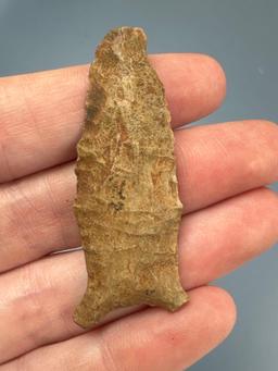 2 1/16" Transitional Paleo Quad, THIN, Heavily Ground Lower Sides/Base, Ex: Shelby Collection