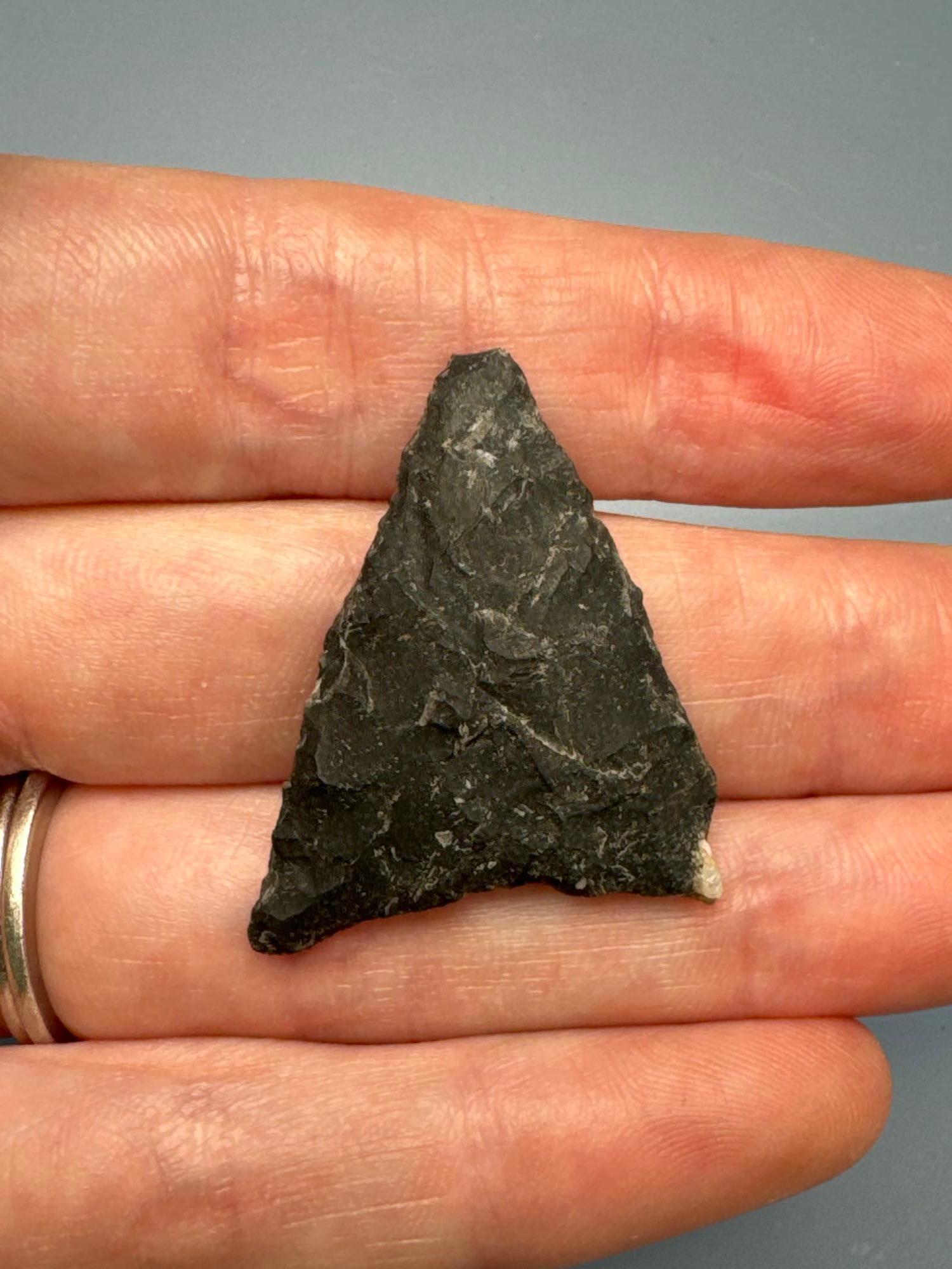 1 3/8" Thin Black Chert Triangle Point, Found in PA/NJ/NY Tristate Area, Ex: Harry Mucklin, Lemaster