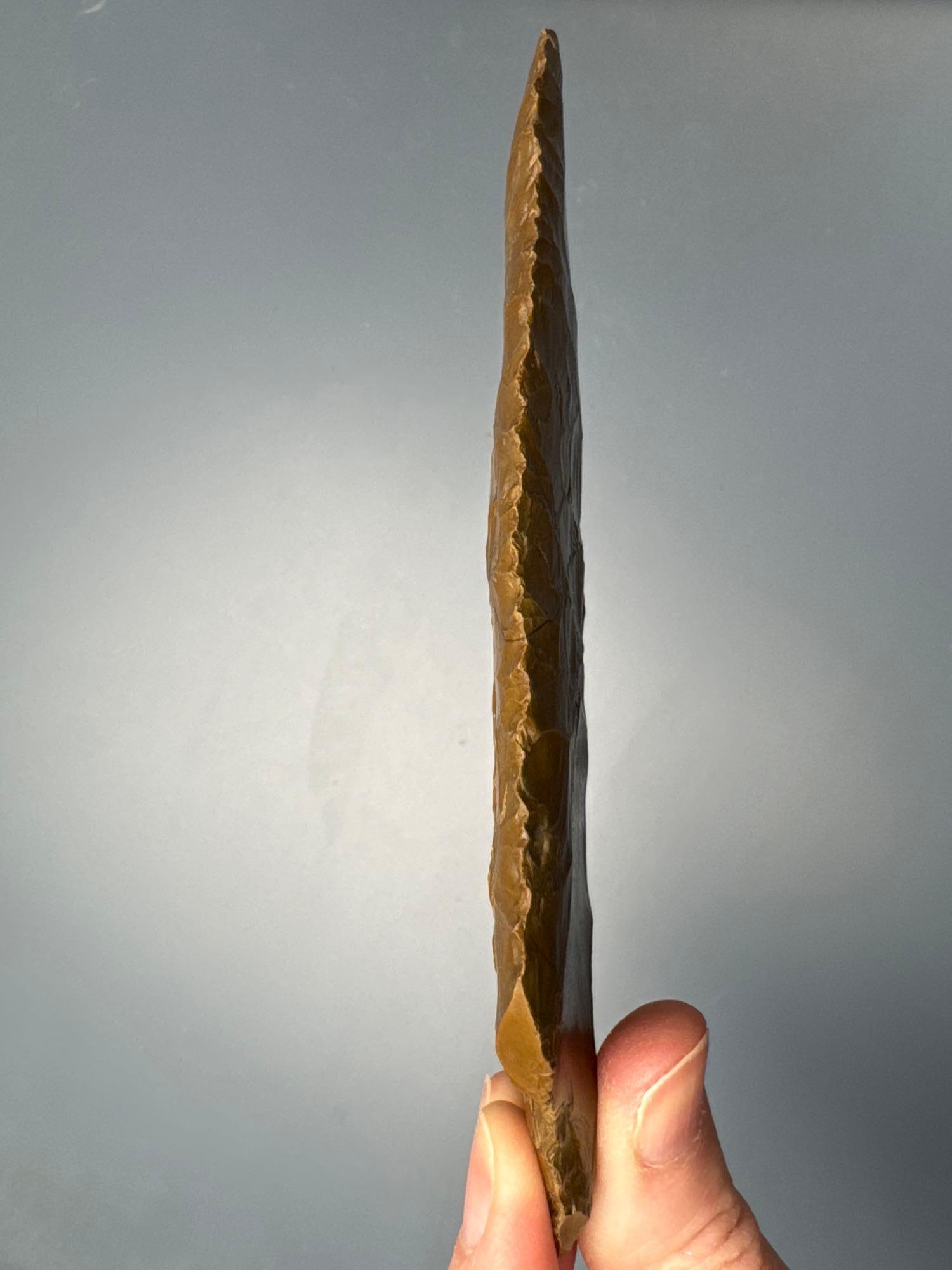 HIGHLIGHT 4 7/8" Brown Glossy Jasper Lehigh Broadpoint, Found at the Border of Cumberland and Atlant
