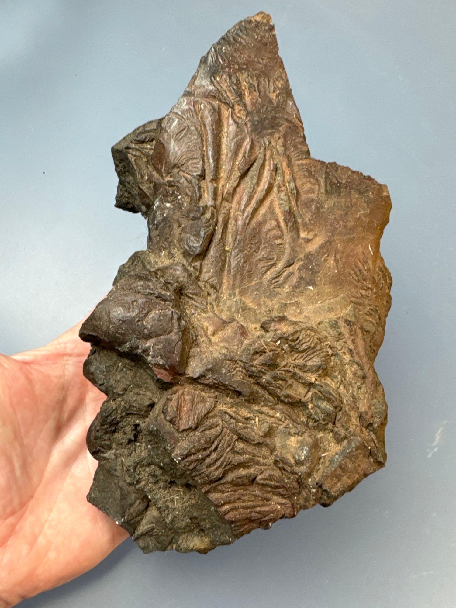 Dense Metal Bearing Rock, Found in Trucker River Canyon in California in May of 2014