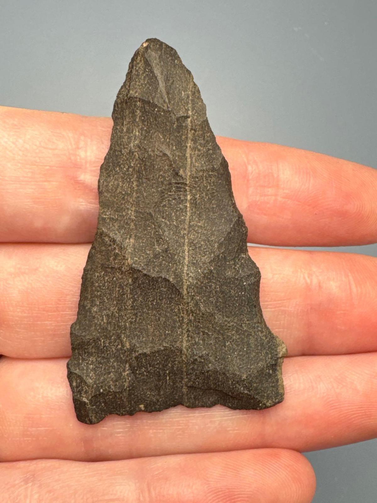 STUNNING 2" Chert Levanna Triangle Point, Found in Erie Co., New York