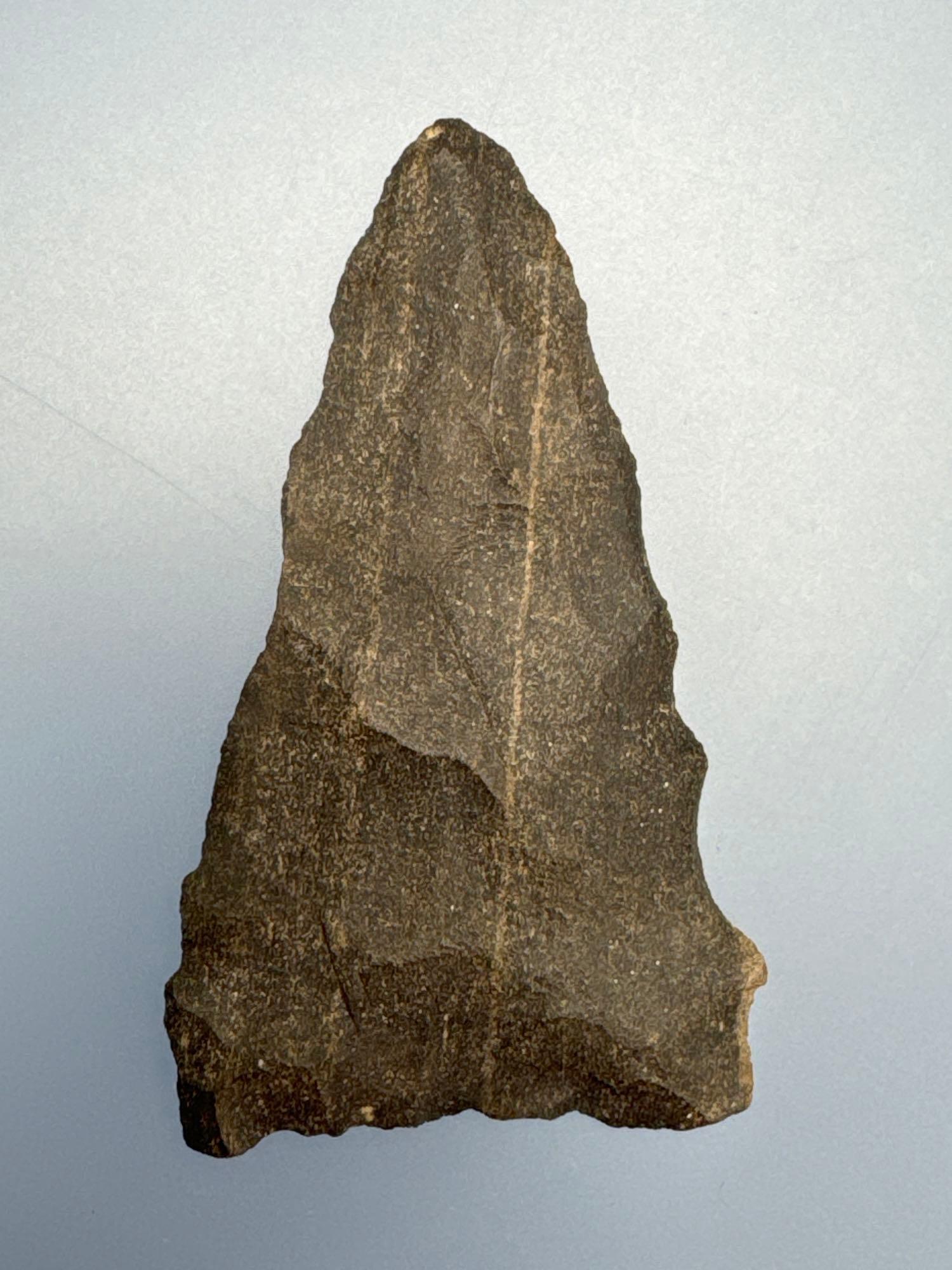 STUNNING 2" Chert Levanna Triangle Point, Found in Erie Co., New York