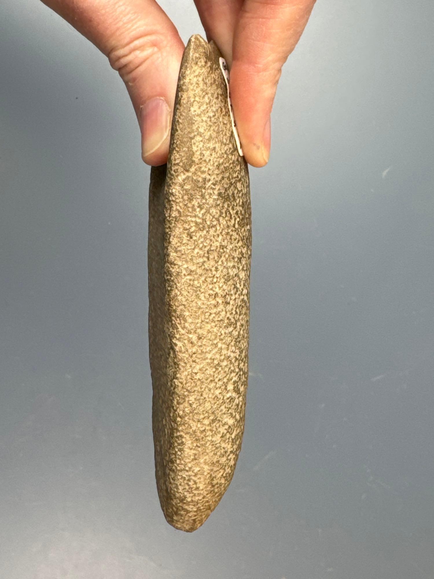 5" Stunning Humped Gouge, Found in Upper Delaware River Valley, From the Cutten Collection of Allent
