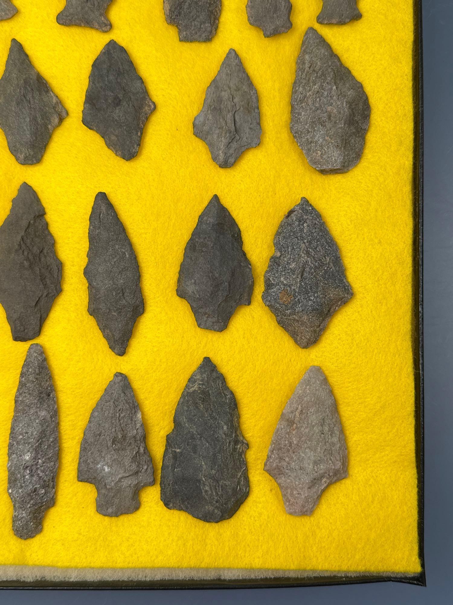 Lot of 41 Various Points, Mainly Carbon Co., Chert, Found in Jim Thorpe Area in Pennsylvania, Longes
