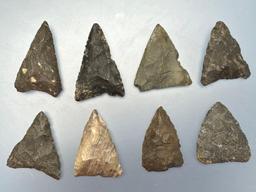 8 Larger Levanna Triangle Points, Found in New York, Longest is 1 5/8"
