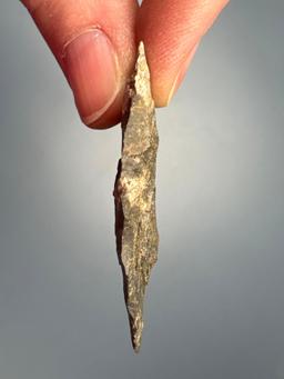 1 3/4" Jacks Reef Pentagonal Point, Found in Erie Co., NY