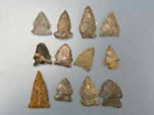12 Mainly Brewerton Points, Nice Examples, Longest is 1 3/16", Found in New York State, Ex: Dave Sum