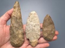Lot of Adena Related Points, Knives, Flintridge, Longest is 4 3/4", Found in Lower Hudson Valley, NY