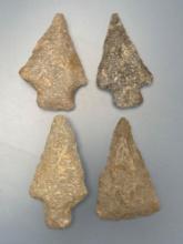 Lot of 4 Wider Quartzite Points, Blade, Found in Lancaster Co., PA, Longest is 3 3/16"