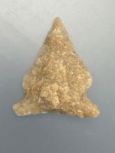 NICE 1 1/2" Quartzite Side Notch Eared Brewerton, Found in Hunterdon Co., NJ
