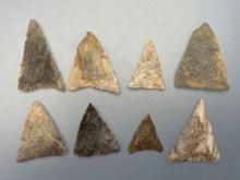 7 Various Triangles, Rhyolite and Chert, Longest is 1 1/2", Found in Jim Thorpe Area in Pennsylvania
