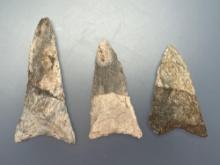 STUNNING Lot of 3 Large Rhyolite Triangle Points, Longest is 3 1/8", Found in Jim Thorpe Area in Pen