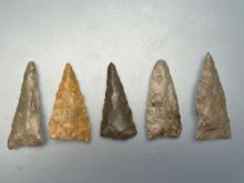 Lot of 5 Iroquoian Triangles, Chert, Found in New York