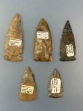 Lot of 5 Meadowood Points/Blades, Found in New York, Black Point has Tip Restored, Longest is 2 3/16
