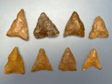 8 Nice Jasper Triangle Points, Longest is 1 3/8", Found in Northampton Co., PA by the Burley Family,