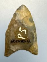 RARE 1 7/16" Green Normanskill Fluted Clovis, Paleo, Found in Bradford Co., PA, PICTURED Fogelman's