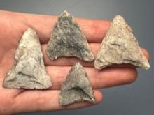 4 Rhyolite Triangle Points, Found in Jim Thorpe Area in Pennsylvania, Longest is 1 3/4"