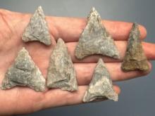 6 Nice Rhyolite Triangle Points, Found in Jim Thorpe Area in Pennsylvania, Longest is 1 3/4"
