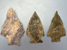 x3 Transitional Points, Susquehanna Broads, Found in York Co., PA, Longest is 2 1/4", Ex: Burley Col