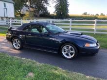 2002 Ford Musang GT