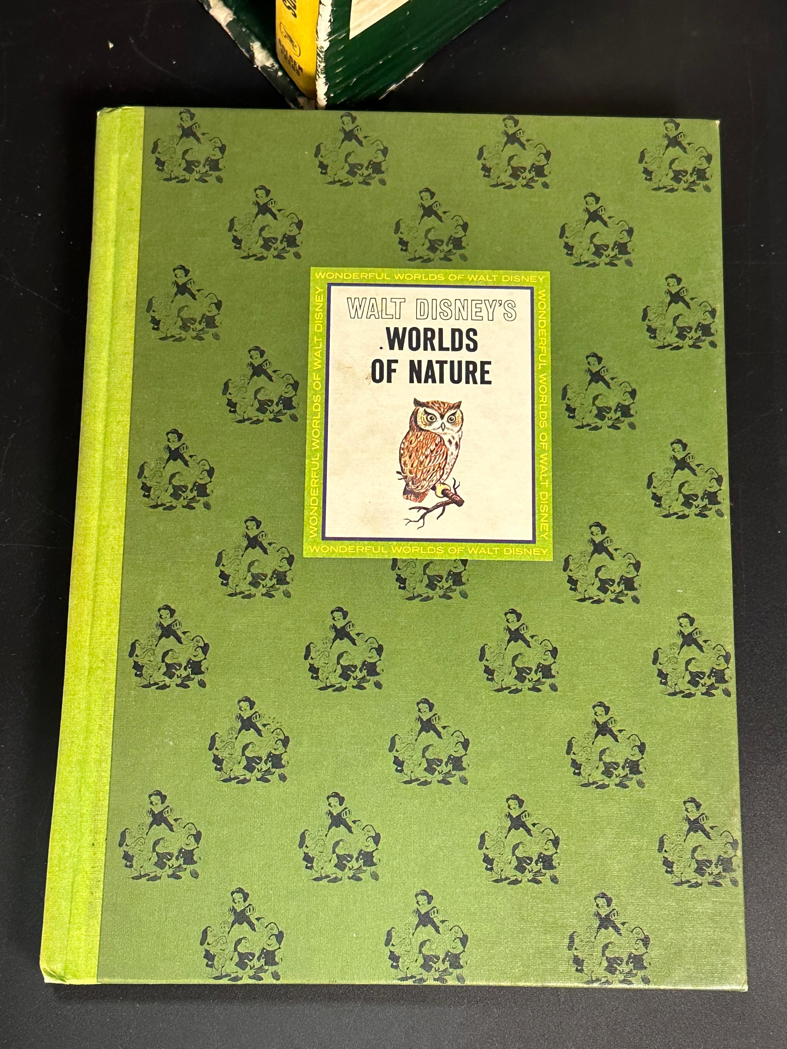 The Wonderful World of Disney 1965 Books