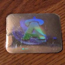 Vintage Anaheim Vintage 3-d hologram sticker