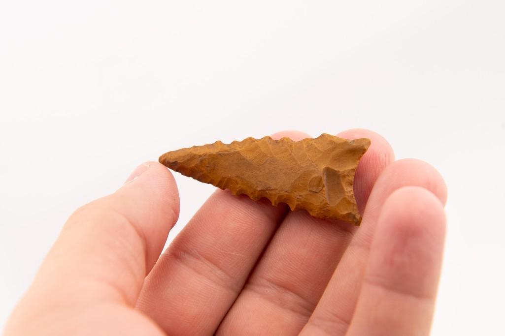 A 2-1/8" Dalton Point Made of Brown and Red Chert.