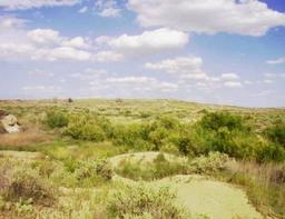 GovernmentAuction.com CO LAND, GOLF AND LAKE COMMUNITY