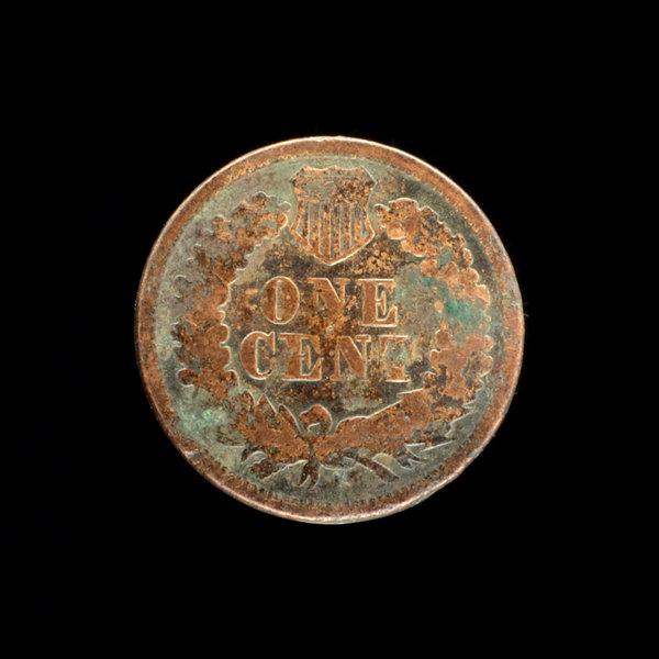 1877 Indian Cent Coin