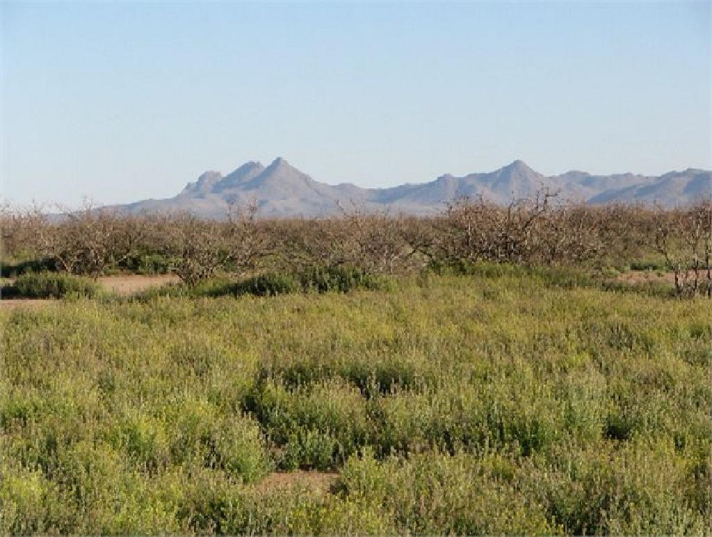 JUST TAKE OVER PAYMENTS! GORGEOUS 10 ACRE IN LUNA COUNTY, NEW MEXICO INVESTMENT PROPERTY!