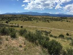 GORGEOUS CO LAND! GOLF AND LAKE COMMUNITY! INCREDIBLE INVESTMENT! FORECLOSURE! BID AND ASSUME!