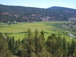 STUNNING BID AND ASSUME! INCREDIBLE OREGON LAND! 1 AC. IN LAKE COUNTY! EXCELLENT BUY!
