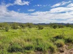 ASSUME PAYMENTS! FORECLOSURE! GORGEOUS 5.01 ACRE IN HUDSPETH COUNTY, TEXAS! EXCELLENT BUY!