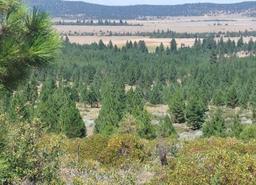 Modoc County Approx 1 Acre Northern California Recreational Land Investment on Low Monthly Payment!