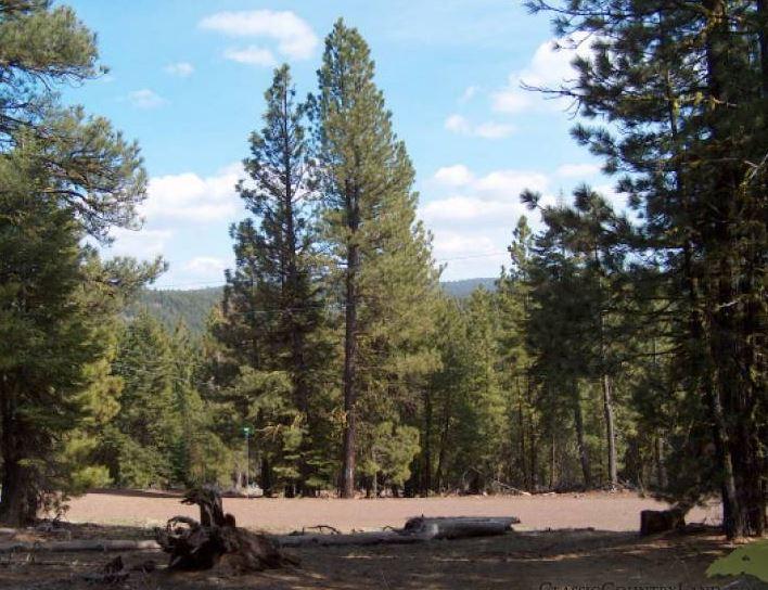 California Aprox 1 Acre Modoc County Great Recreational Land Investment with Low Monthly Payments!