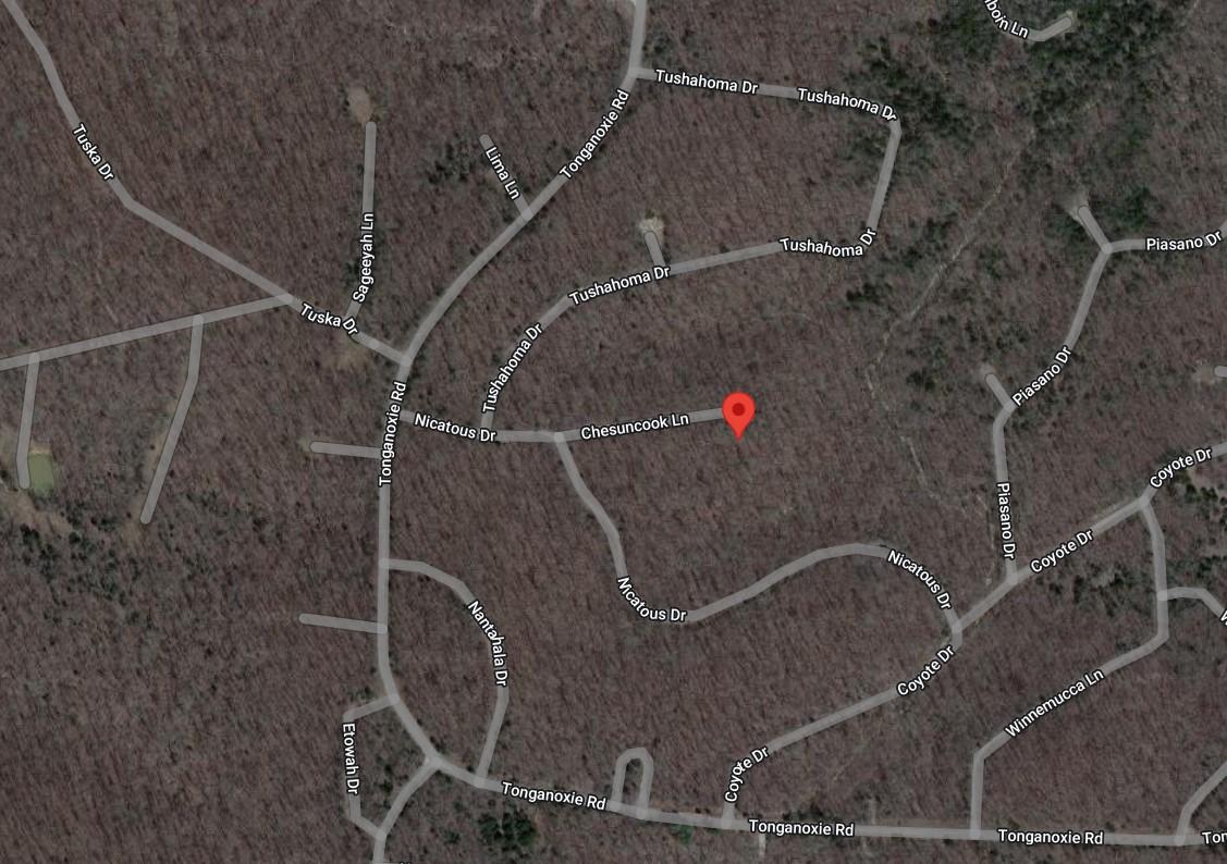 RARE DOUBLE LOT IN CHEROKEE VILLAGE! ARKANSAS FULTON COUNTY AUCTION FINANCING OFFERED NOW!