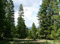 CASH SALE! California Aprox 1 Acre Modoc County Great Recreational Land Investment! File 8439541