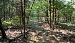 Arkansas Fulton County Rare Triple Lot in Cherokee Village! Low Monthly Payments! Great Recreation!