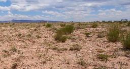 New Mexico Platted Subdivision Lot in Valencia County near Albuquerque with Low Monthly Payments!