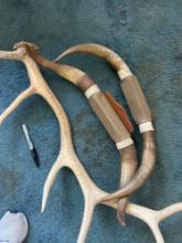 antler and horn lot - upstairs