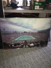 Chicago bears game picture 36 in x 24 in