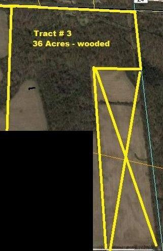 36 Acres Wooded with Mapes Rd Access