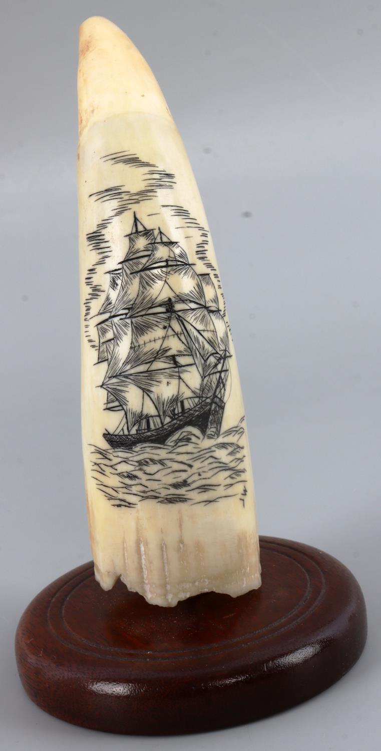 2 WHALE TOOTH SCRIMSHAW SHIP ENGRAVED ORNAMENTS