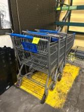 Full-Size Shopping Carts