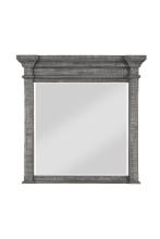 Acme Transitional Mirror With Salvaged Natural Finish 27104