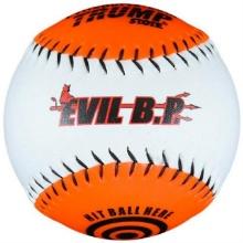 Evil Sports Batting Practice Softball 1394802