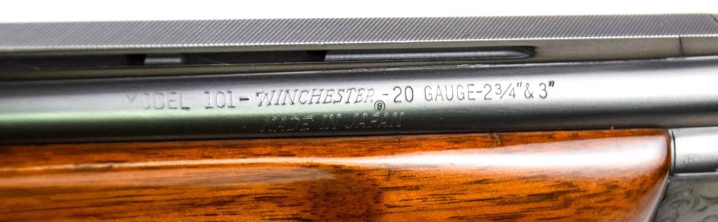 Winchester/Olin Model 101 20 ga